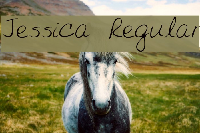 Jessica Regular Font examples