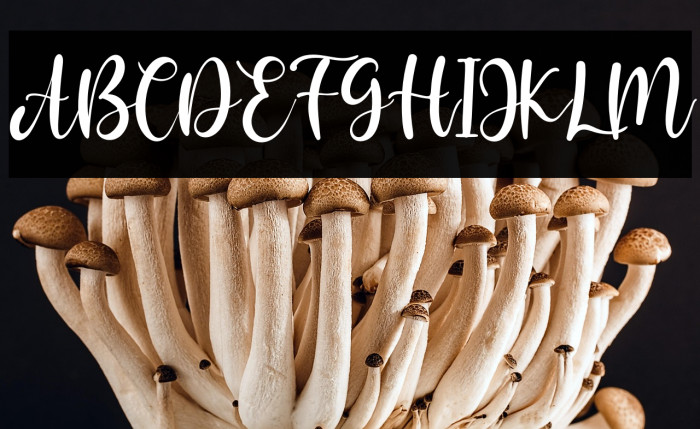 JessicaMariolline Example 2