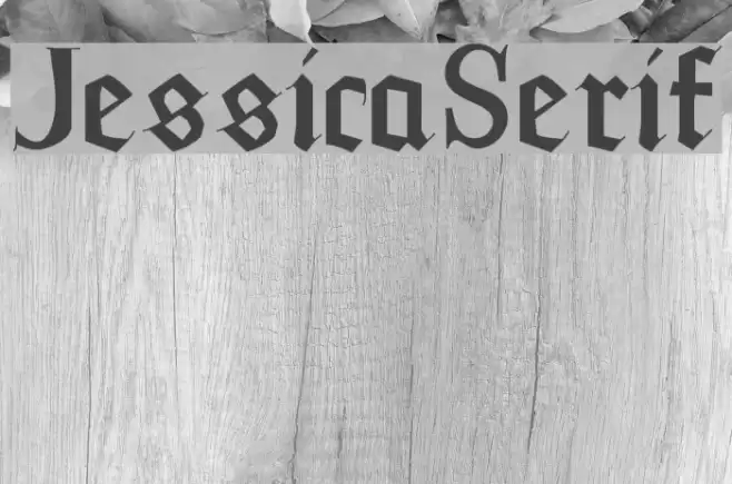 JessicaSerif Font examples