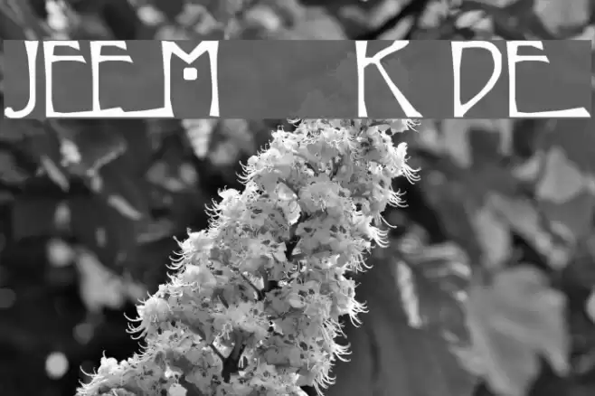 Jessie M. King Demo フォント examples