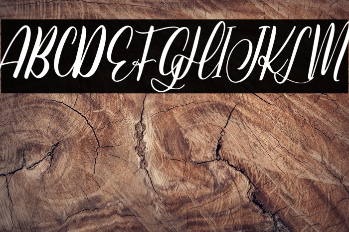 JessieOdelyaDemo Example 2