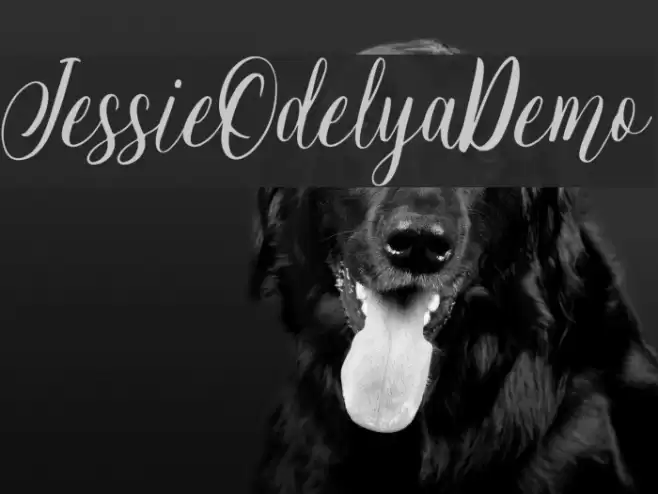 JessieOdelyaDemo Font examples