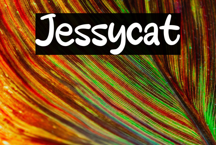 Jessycat Example 1