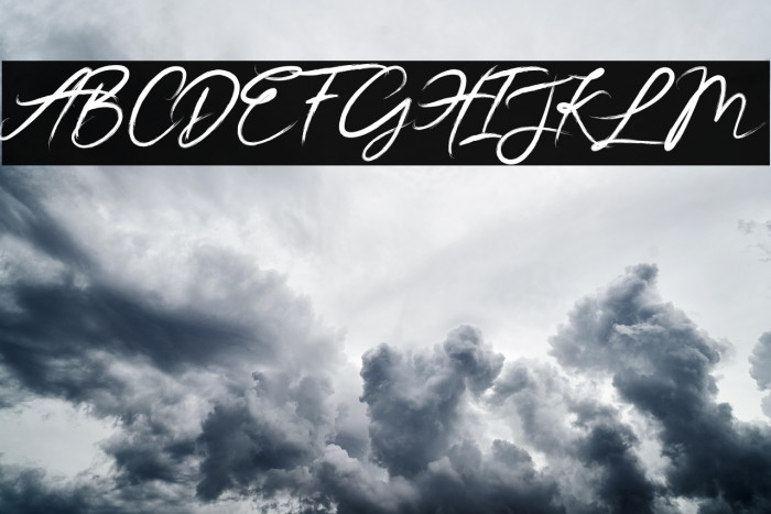 Jester Brush Example 3