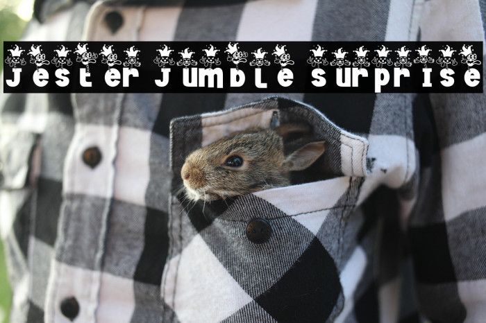 Jester Jumble Surprise Example 3