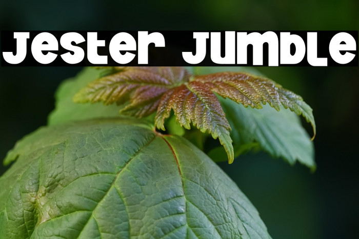 Jester Jumble Example 3