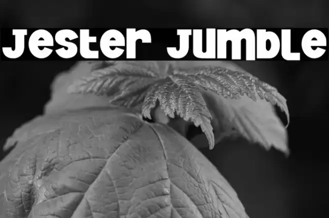 Jester Jumble Caratteri examples