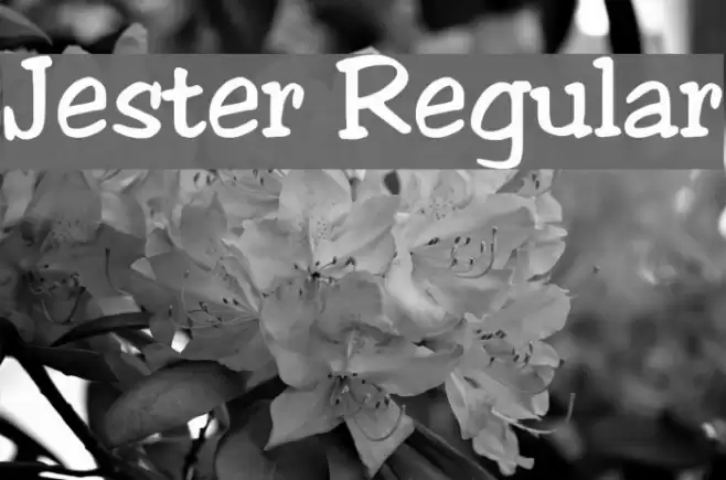 Jester Regular Font examples