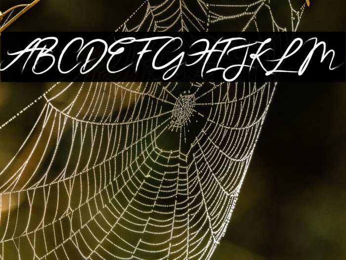 JesterBrush Example 1