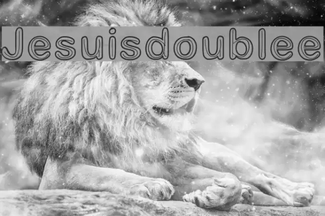 Jesuisdoublee Font examples