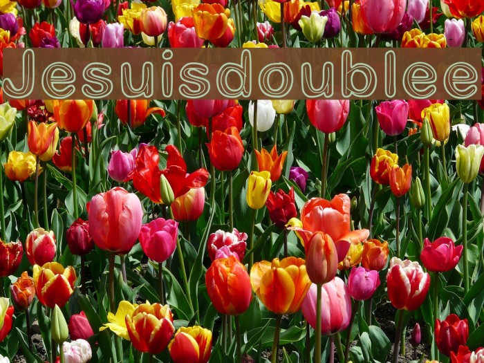 Jesuisdoublee Font examples