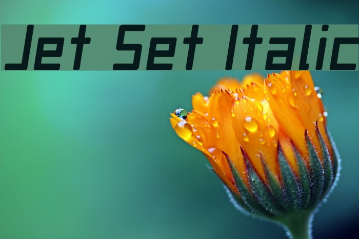 Jet Set Italic Example 2