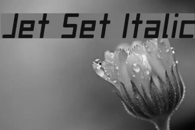 Jet Set Italic Font examples