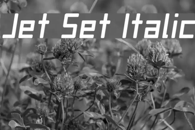 Jet Set Italic Font examples