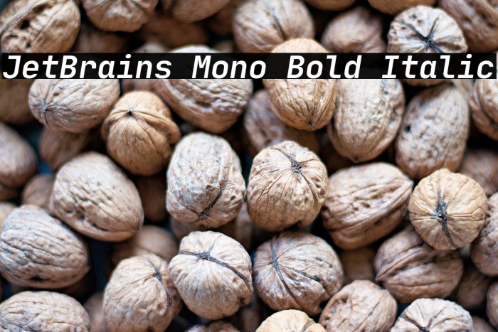 JetBrains Mono Bold Italic Example 2