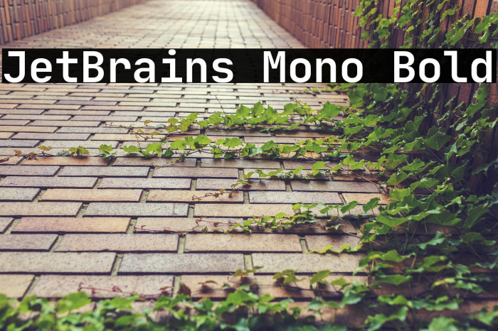 JetBrains Mono Bold Example 1