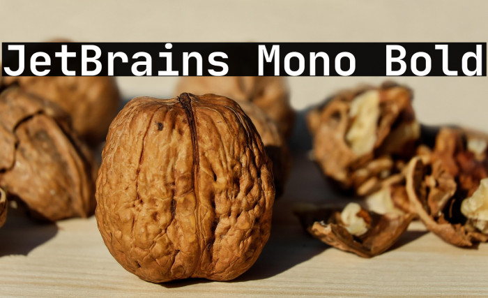 JetBrains Mono Bold Example 2
