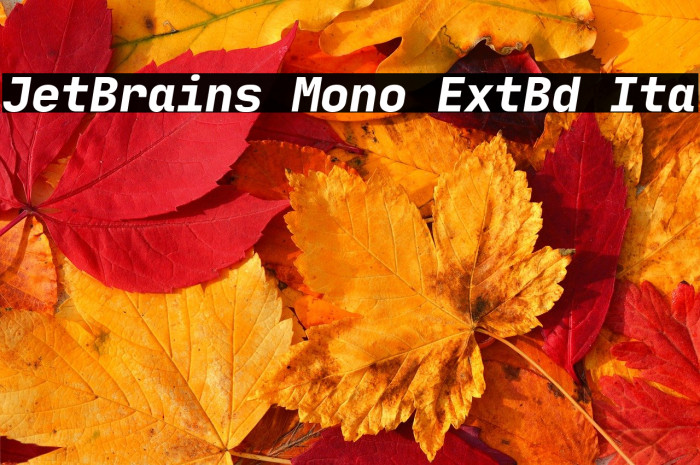 JetBrains Mono ExtBd Ita Example 1