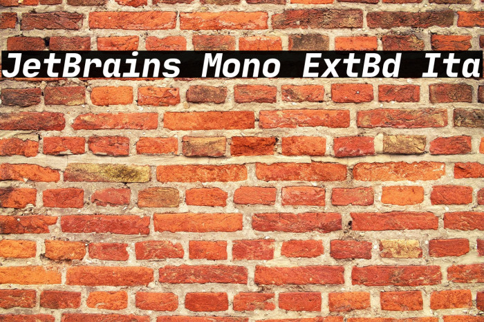JetBrains Mono ExtBd Ita Example 2