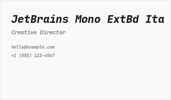 JetBrains Mono ExtBd Ita Business Card