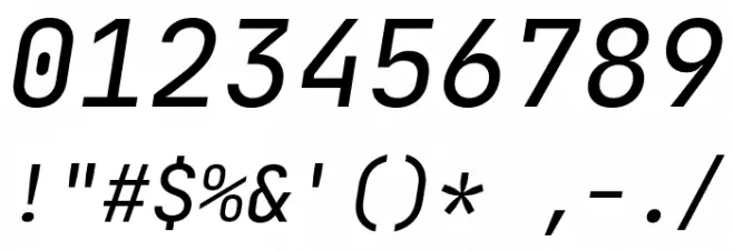 JetBrains Mono Italic Font OTHER CHARS
