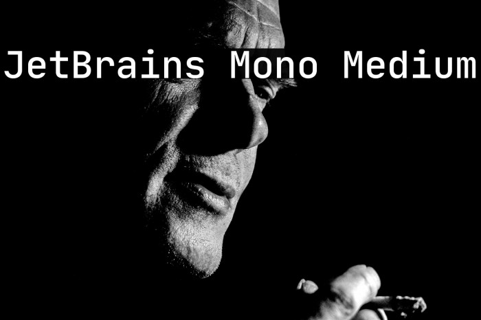 JetBrains Mono Medium Example 2