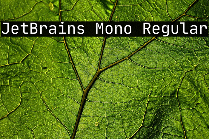 JetBrains Mono Regular Example 1