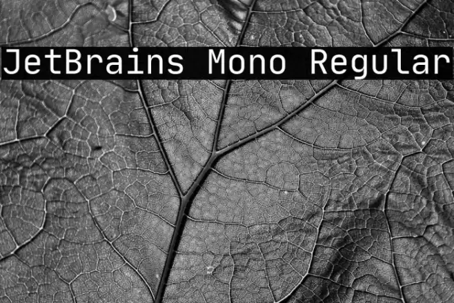 JetBrains Mono Regular Fonte examples