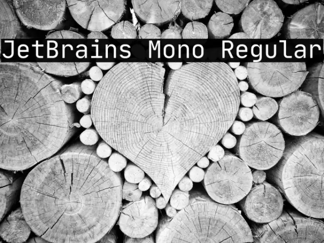 JetBrains Mono Regular Fonte examples