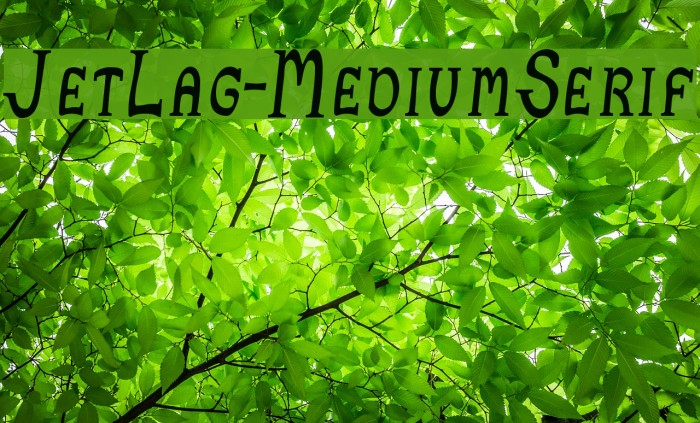 JetLag-MediumSerif Font examples