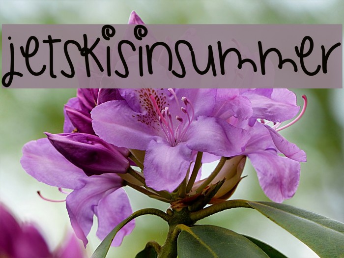 JetskisInSummer Font examples