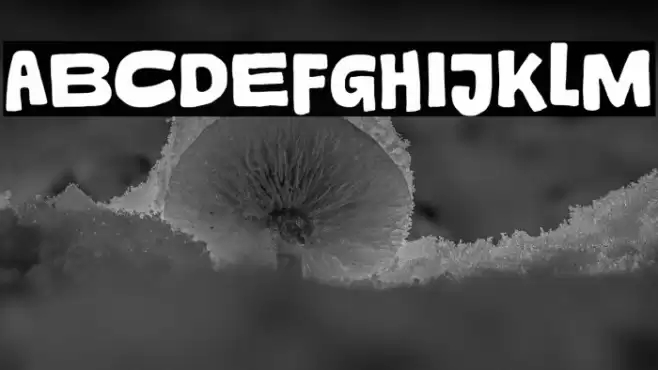 Jetsy Trial Regular Font examples