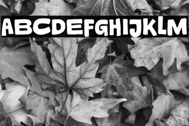 Jetsy Trial Regular Font examples