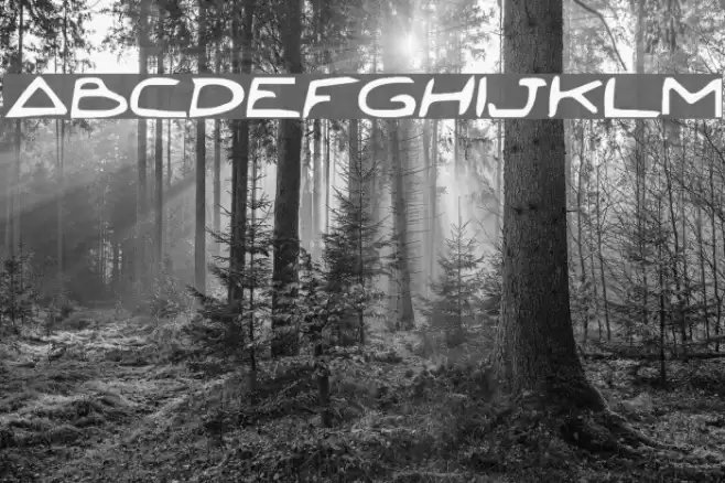 Jetta Bold Шрифта examples