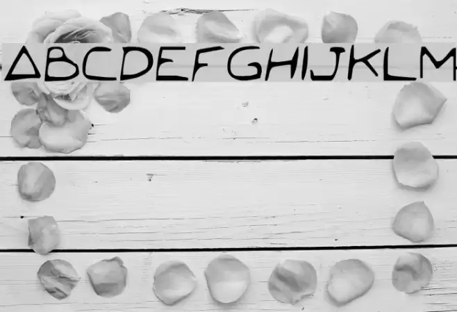 Jetta Condensed Caratteri examples