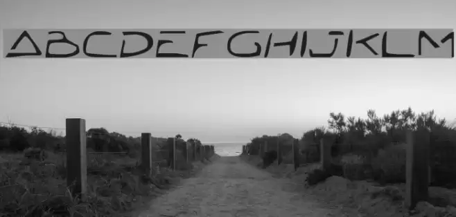 Jetta Tech خط examples