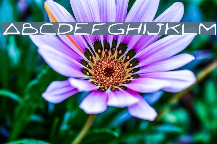 Jetta Font examples