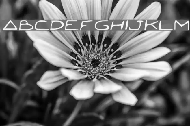 Jetta Fuentes examples