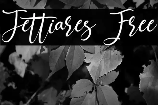 Jettiares Free Font examples
