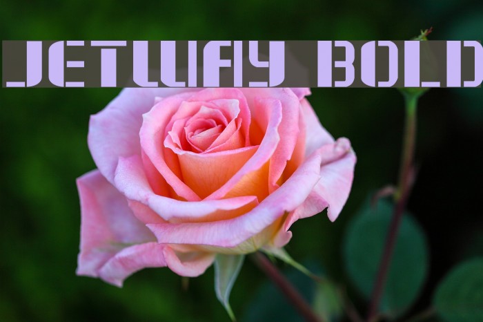 Jetway Bold Font examples