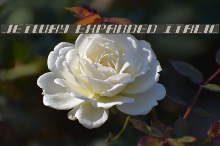 Jetway Expanded Italic Font examples