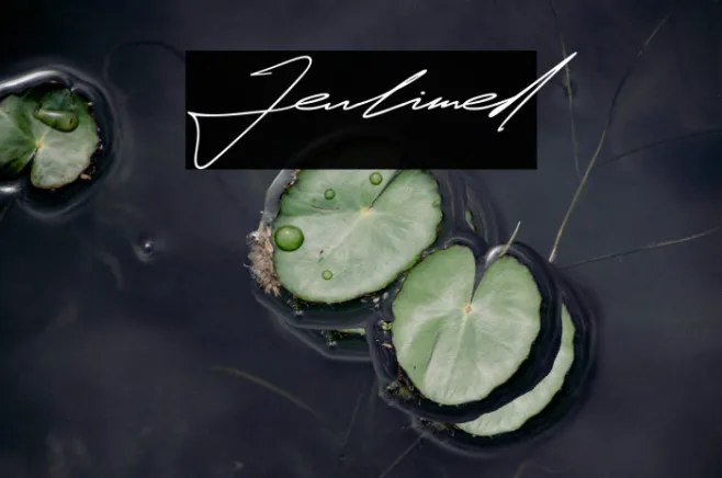 Jeulimed Example 1