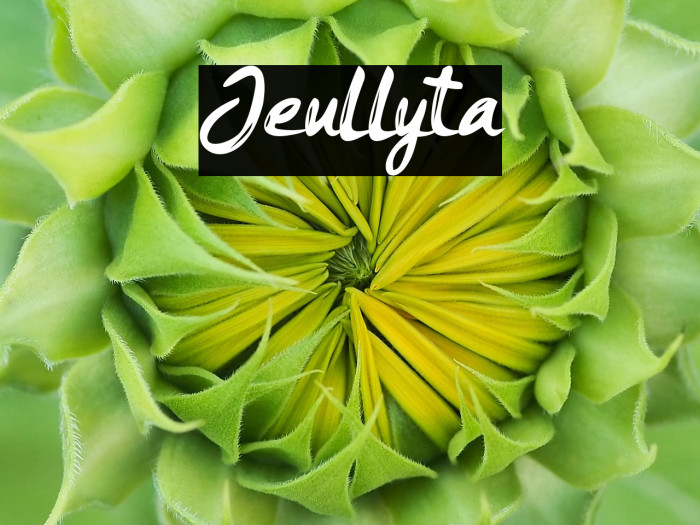 Jeullyta Example 1