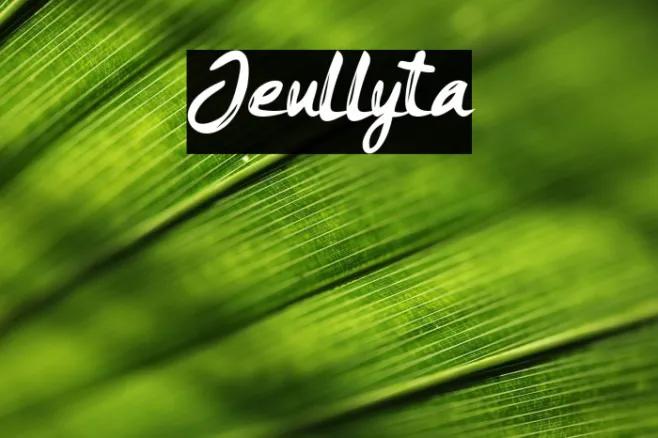 Jeullyta Example 2