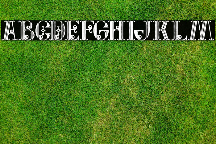 Jewel Bold Grunge Example 3