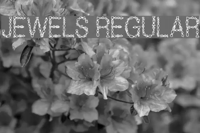 Jewels Regular Font examples
