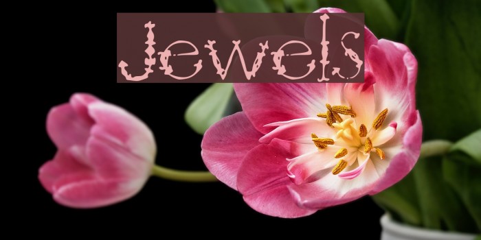 Jewels Font examples