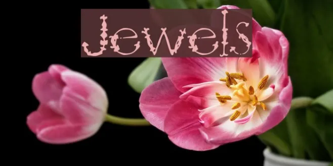 Jewels Example 3