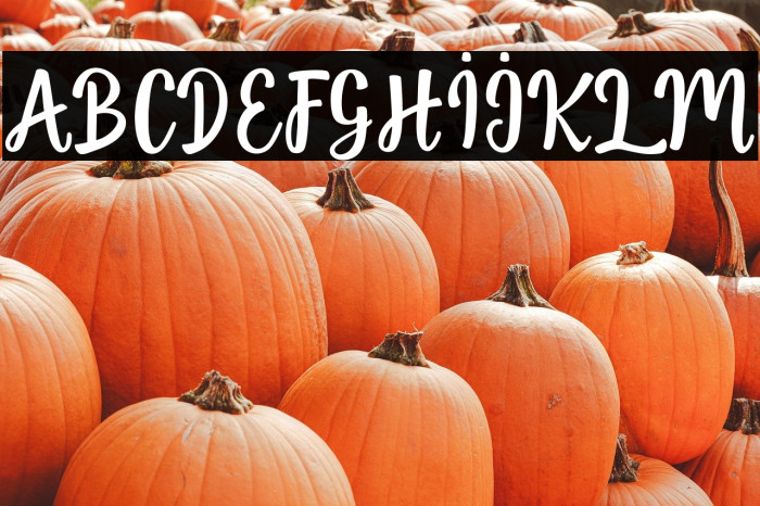 jellyfish-Regular Example 1