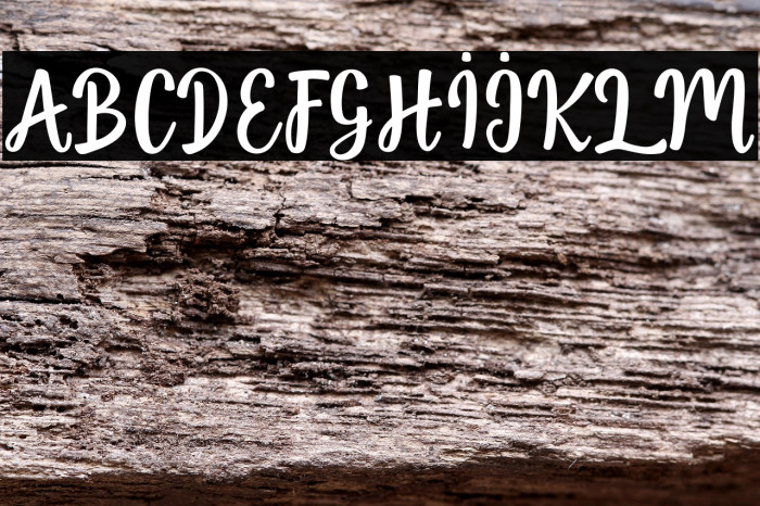 jellyfish-Regular Example 3